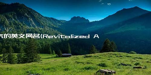元气的英文网名(Revitalized A Fun and Energetic Online Persona)